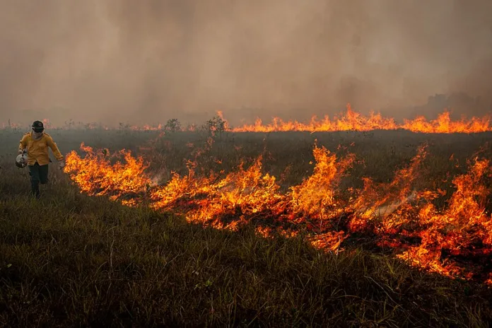 Incêndio na Amazônia