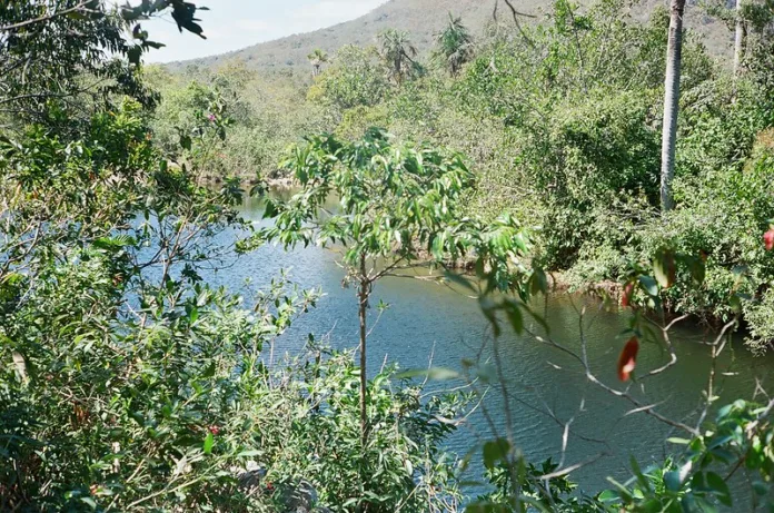 Rio São Batolomeu