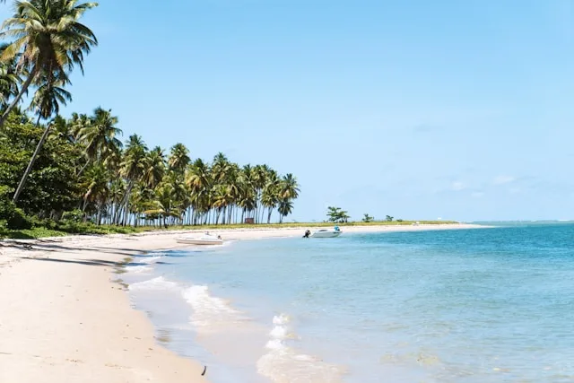 Praia dos Carneiros