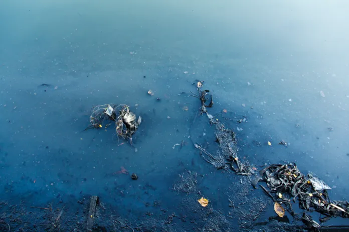 Imagem de um córrego poluído com resíduos sólidos e vegetação danificada, destacando a degradação ambiental.