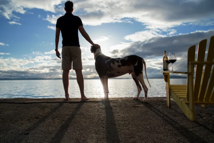 Homem observa o pôr do sol à beira de um lago ao lado de seu cão, representando o vínculo afetivo entre tutores e animais. Imagem ilustrativa para decisão judicial sobre posse de pets após separação.